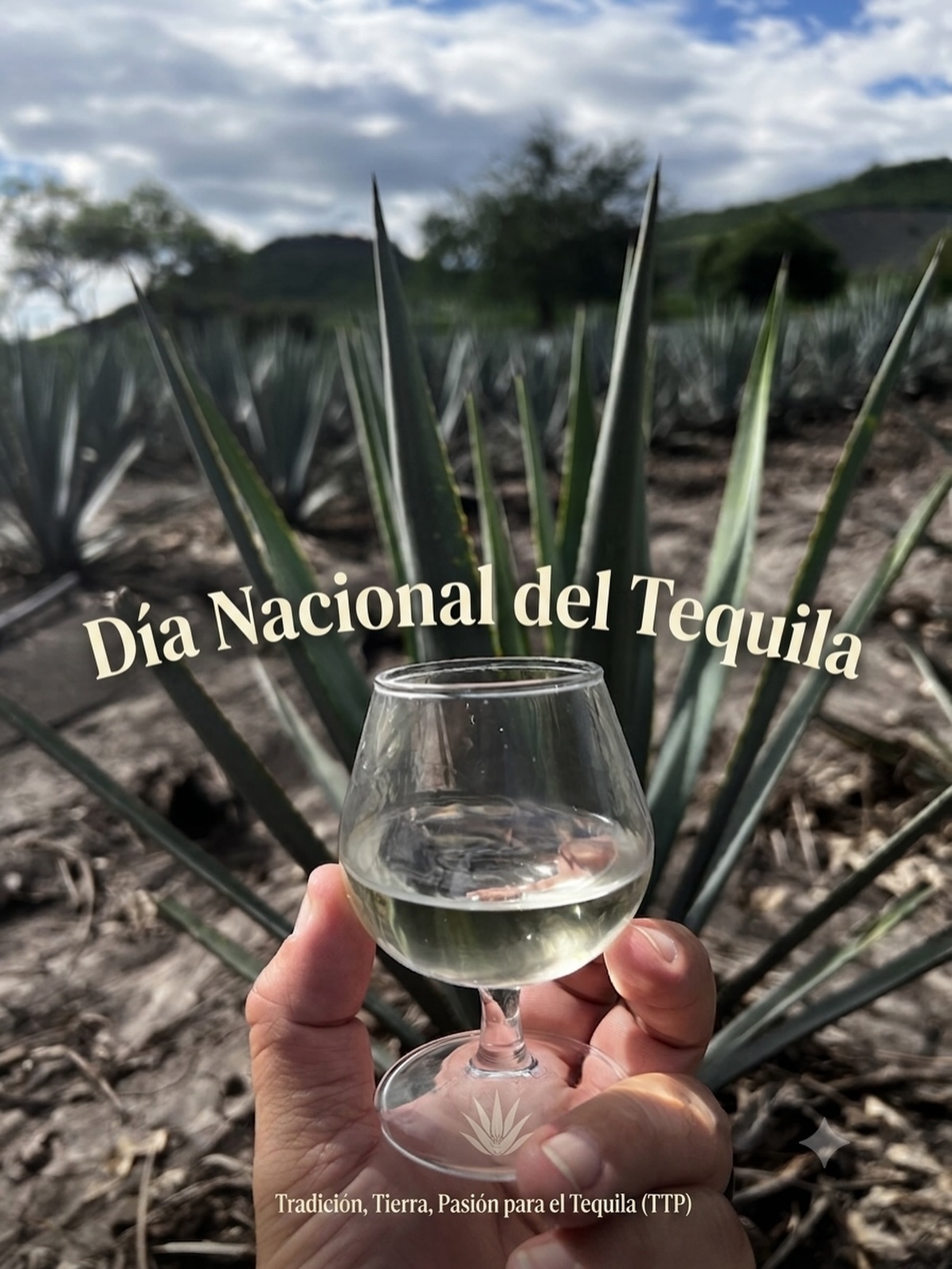 Salud a todos mis Amigos! #DiaNacionalDelTequila #NationalTequilaDay #TequilaTradition #TTP #AgaveAzul tequilaTradingPartnersTTP